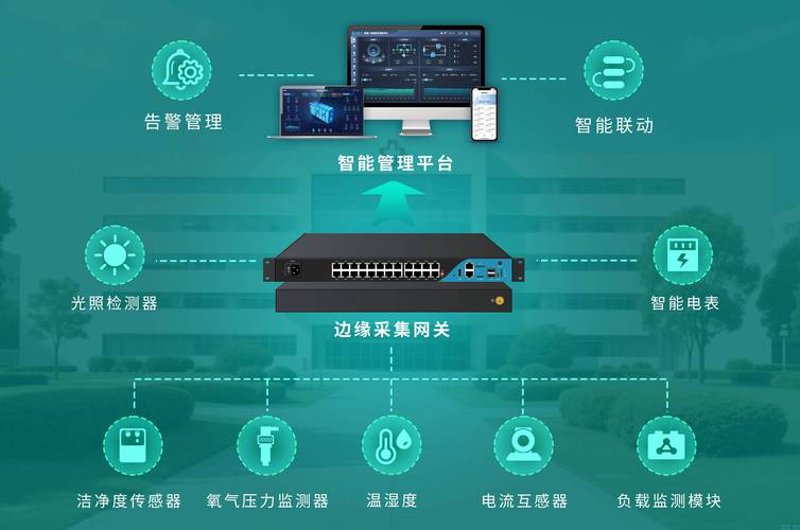 食品代加工：行业动态与发展趋势